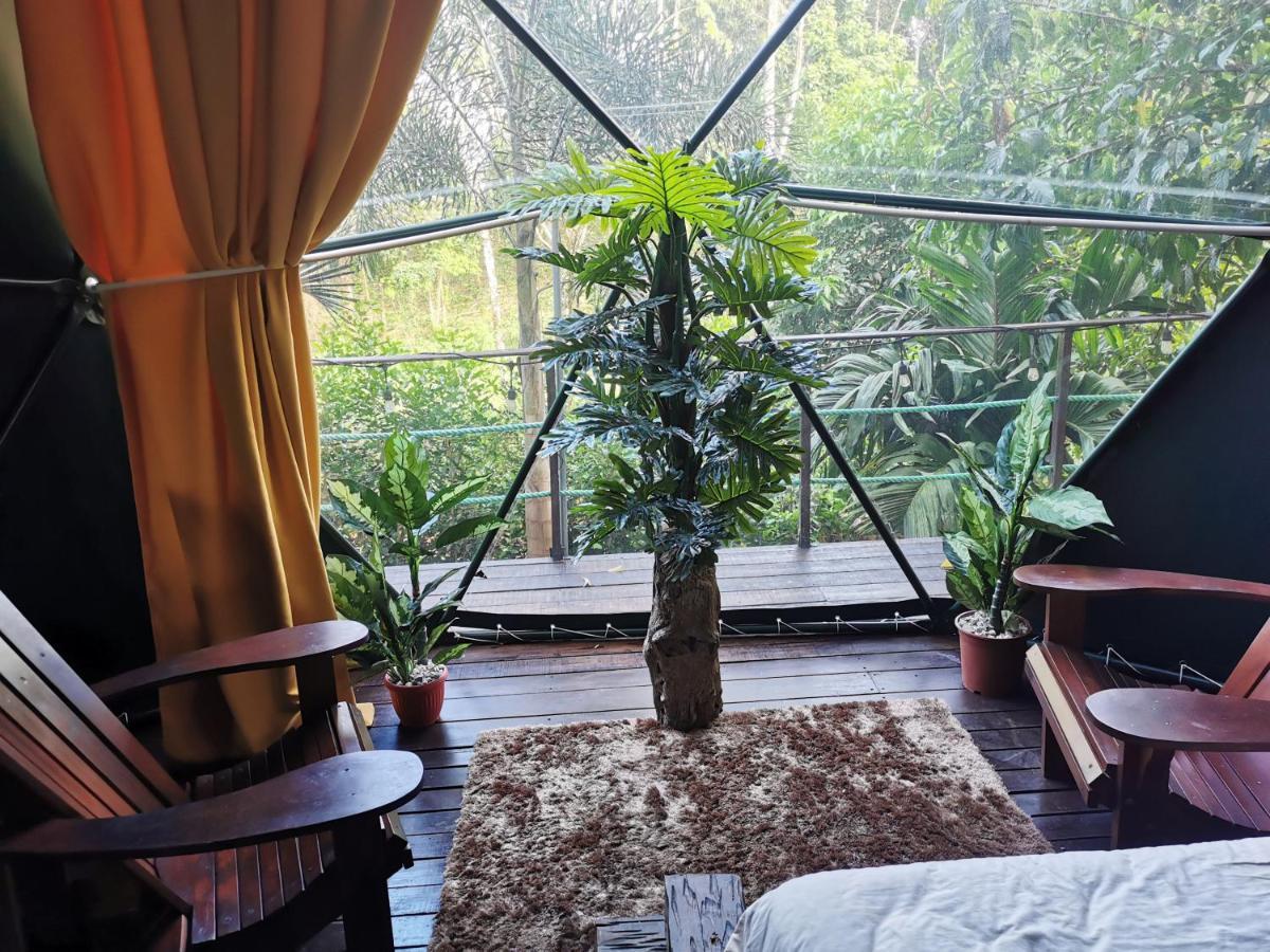 Hotel Momotus Glamping Florencia Zewnętrze zdjęcie