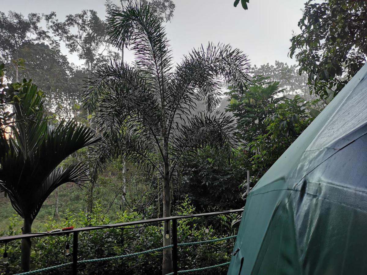 Hotel Momotus Glamping Florencia Zewnętrze zdjęcie