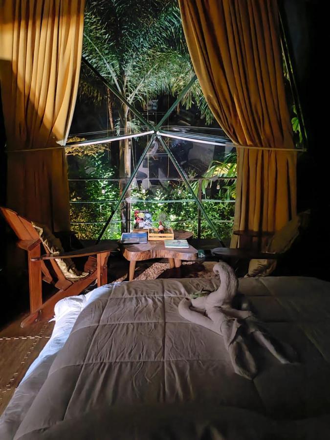 Hotel Momotus Glamping Florencia Zewnętrze zdjęcie