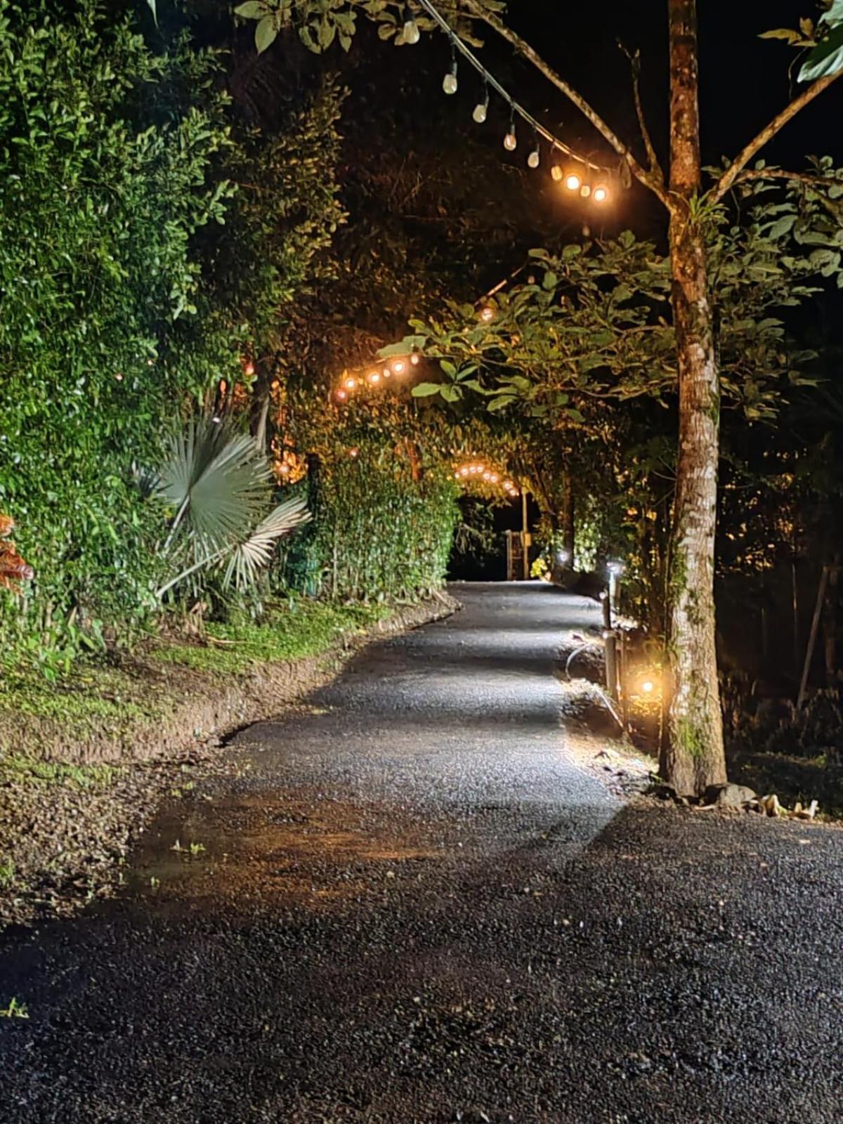 Hotel Momotus Glamping Florencia Zewnętrze zdjęcie